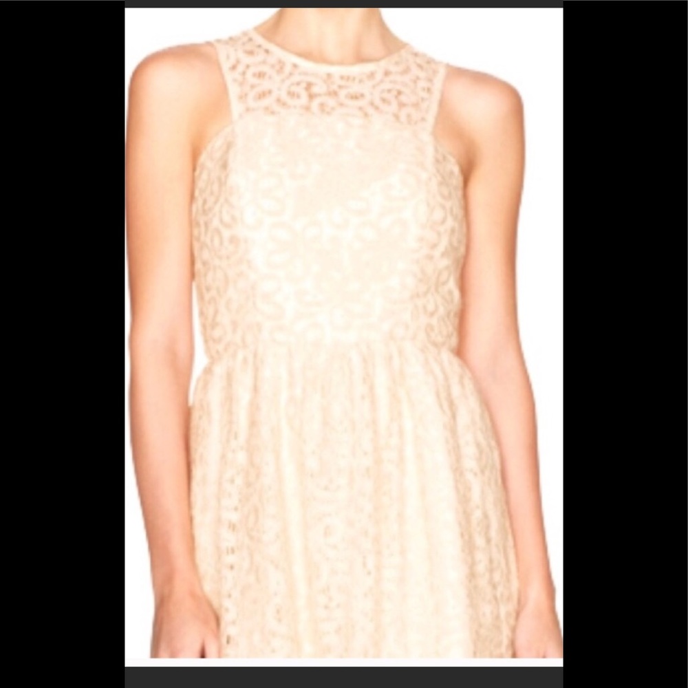 The Limited cream lace dress